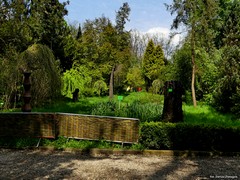 Arboretum w Bolestraszycach