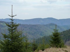 Panorama ze szlaku na Przełęcz Salmopolską