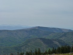 Panorama ze szlaku na Malinowską Skałę