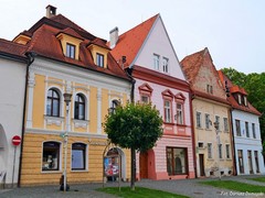 Rynek