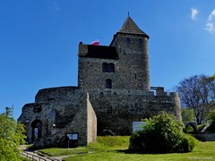 Zamek w B�dzinie