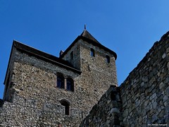 Zamek w B�dzinie