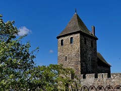 Zamek w B�dzinie