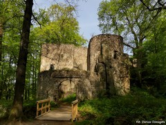 Zamek Bolcz�w