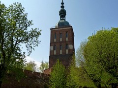 Wie�a Radziejowskiego