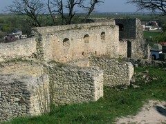 Ruiny zamku w I��y