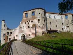Zamek w Janowcu