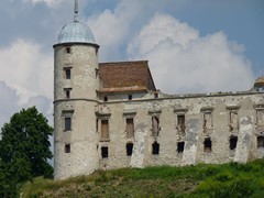 Zamek w Janowcu