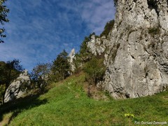 Dolina Bolechowicka
