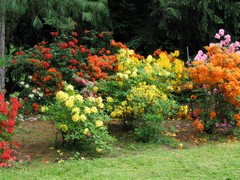 Arboretum