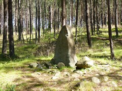 Kamienne kr�gi w W�siorach