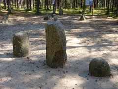 Kamienne kr�gi w W�siorach