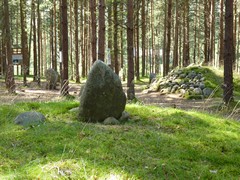 Kamienne kr�gi w W�siorach