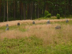 Kamienne kr�gi w Odrach