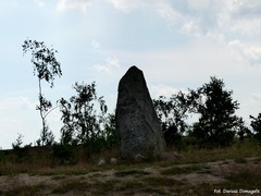 Kamienne kr�gi w Le�nie