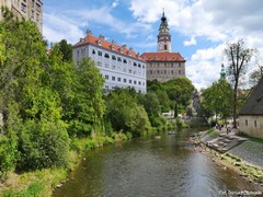 Zamek