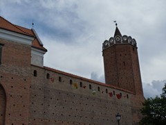 Zamek kr�lewski