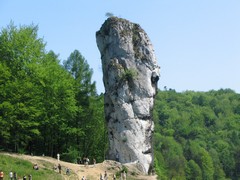 Maczuga Herkulesa