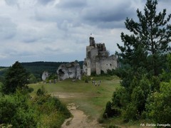 Zamek w Mirowie