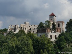 Zamek Tenczyn