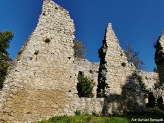 Zamek w Bydlinie