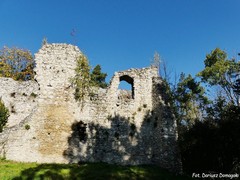 Zamek w Bydlinie