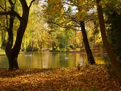 Park Miejski im. Stanis�awa Staszica