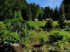 Ogr�d Dendrologiczny w Przelewicach