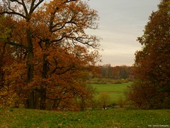 Park krajobrazowy
