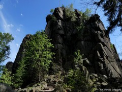 Sokolik