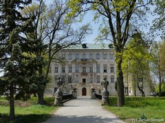 Zamek w Rydzynie