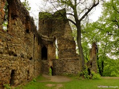 Zamek Stary Ksi��