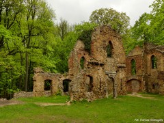 Zamek Stary Ksi��