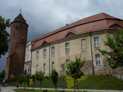 Zamek w �widwinie