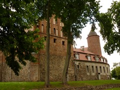 Zamek w �widwinie