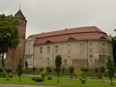 Zamek w �widwinie