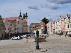 Rynek