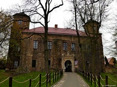 Zamek w Toszku