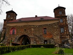 Zamek w Toszku