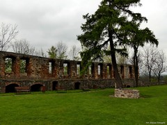 Zamek w Toszku