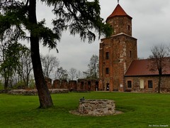 Zamek w Toszku
