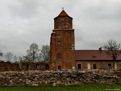 Zamek w Toszku