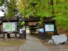 Arboretum w Wirtach