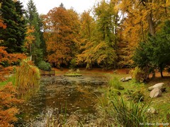 Arboretum w Wirtach