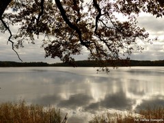 Arboretum w Wirtach