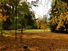 Arboretum w Wirtach