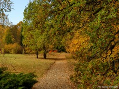 Arboretum w Wirtach