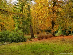 Arboretum w Wirtach