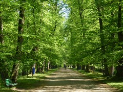 Zamek w Mosznej