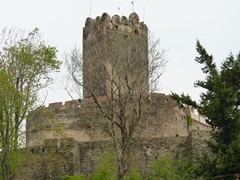 Zamek Bolk�w